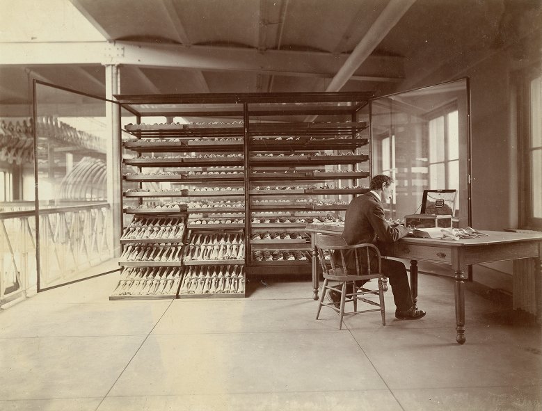 West Philadelphia Collaborative History Bone Library